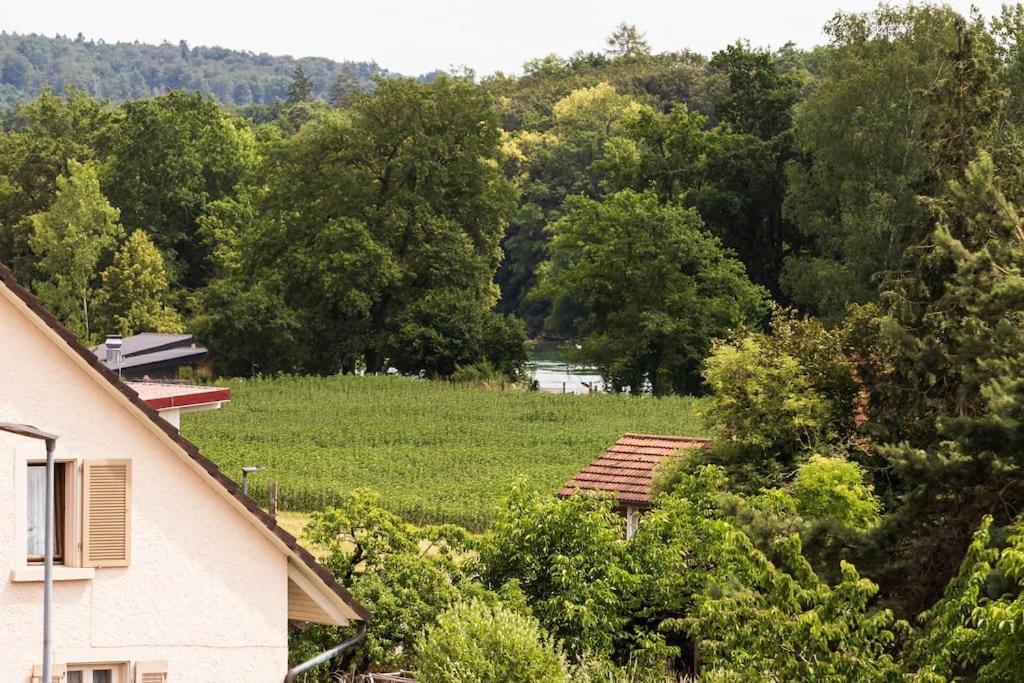Luxury Apartment On The Rhein Busingen am Hochrhein Exterior photo