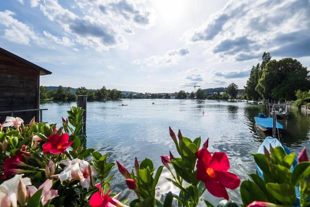 Luxury Apartment On The Rhein Busingen am Hochrhein Exterior photo