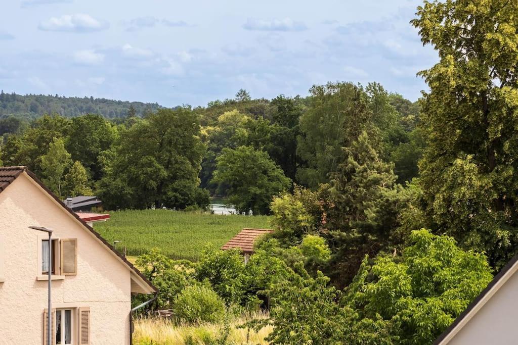 Luxury Apartment On The Rhein Busingen am Hochrhein Exterior photo