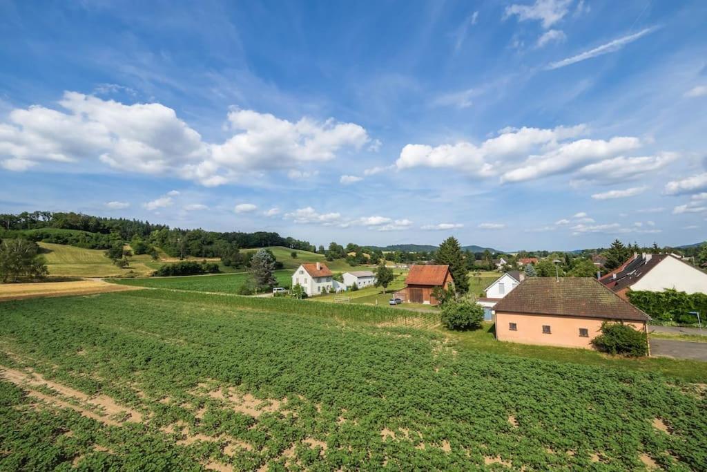 Luxury Apartment On The Rhein Busingen am Hochrhein Exterior photo